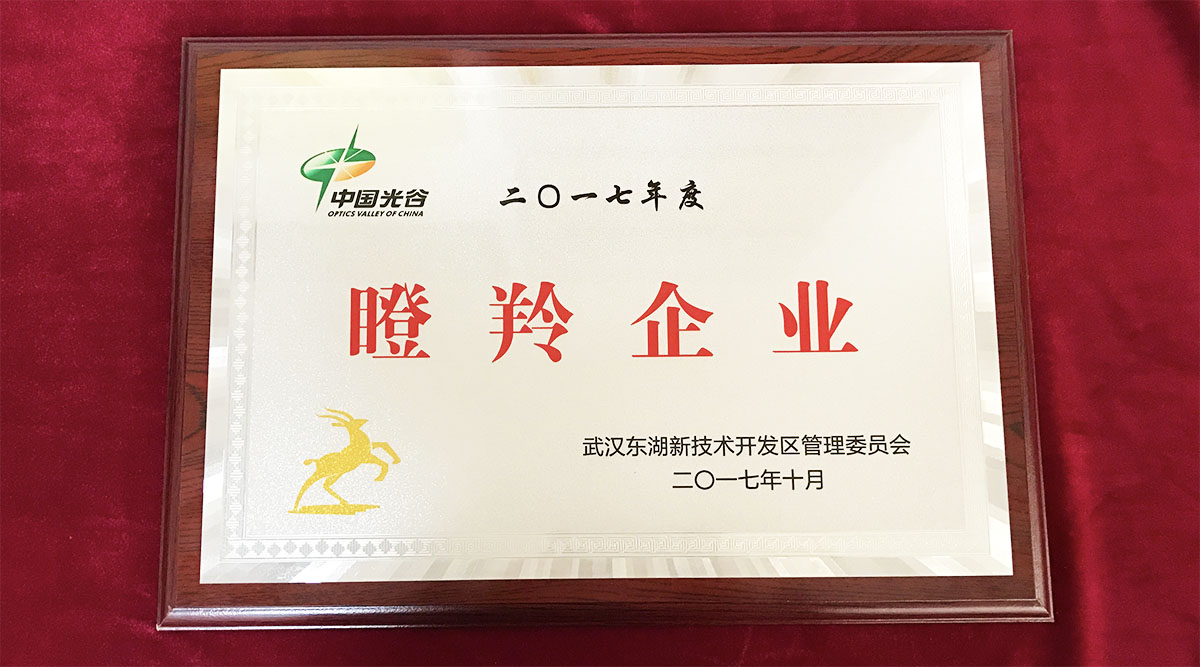 祝賀武漢邁信電氣技術(shù)有限公司榮獲中國光谷2017年度“瞪羚企業(yè)”！