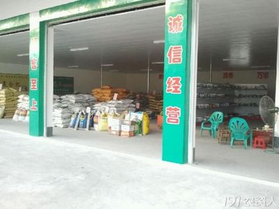 晨光中的農藥零售 一位農資店主的日常